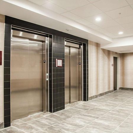 Hilton Garden Inn Tampa Suncoast Parkway Lutz Zewnętrze zdjęcie