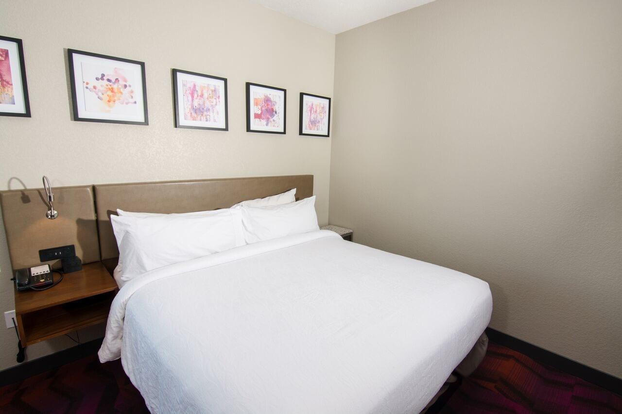 Hilton Garden Inn Tampa Suncoast Parkway Lutz Zewnętrze zdjęcie