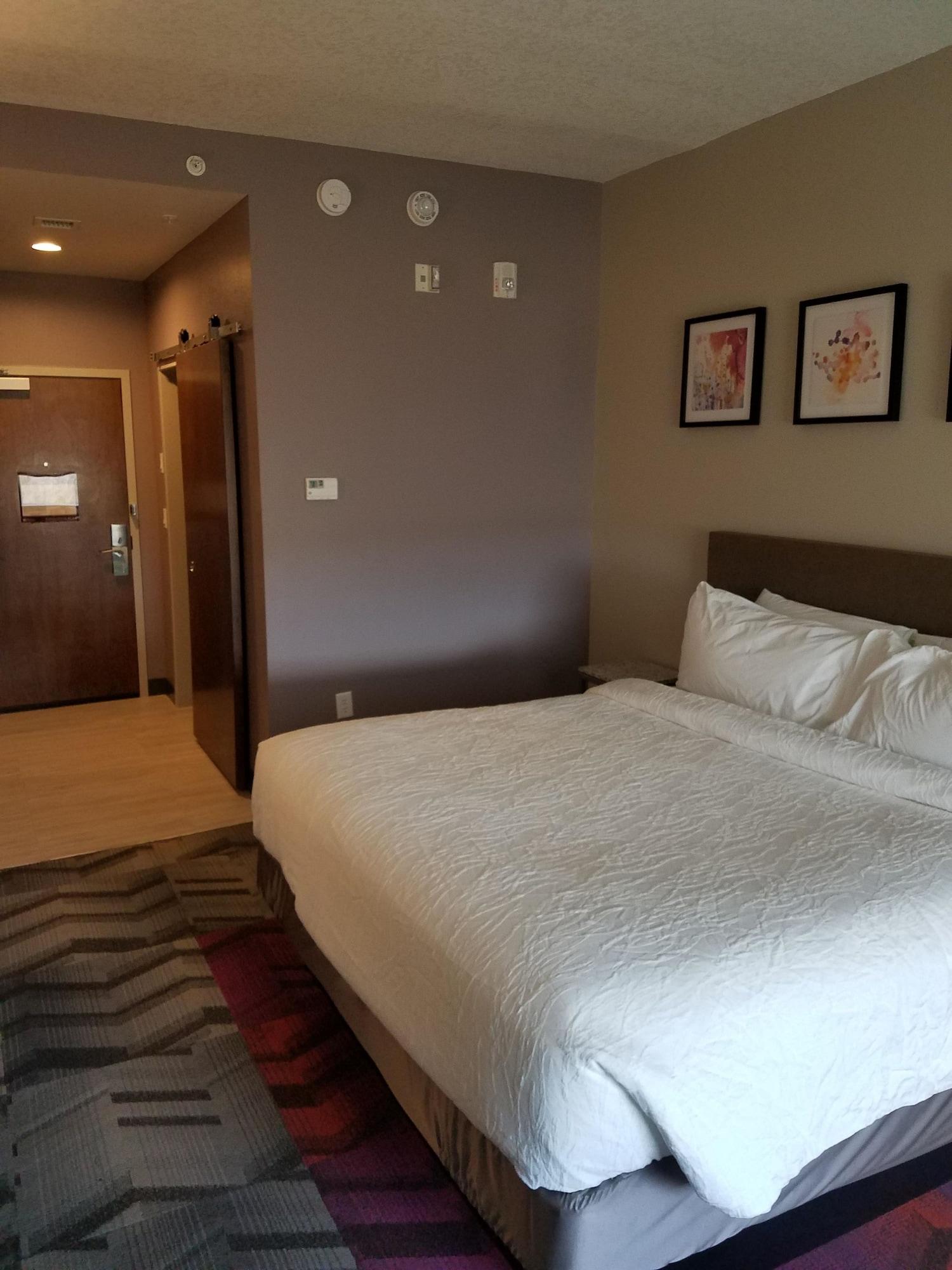 Hilton Garden Inn Tampa Suncoast Parkway Lutz Zewnętrze zdjęcie