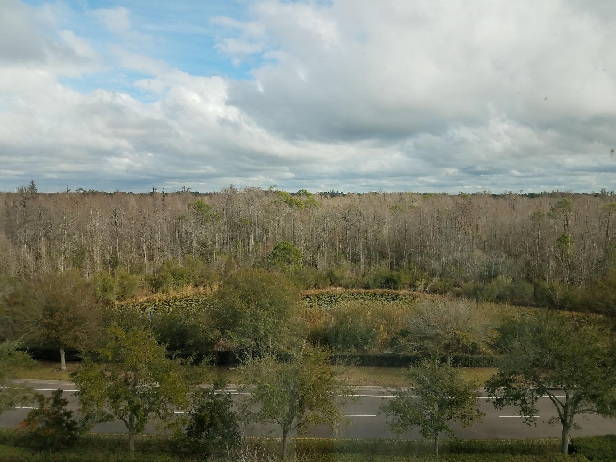 Hilton Garden Inn Tampa Suncoast Parkway Lutz Zewnętrze zdjęcie