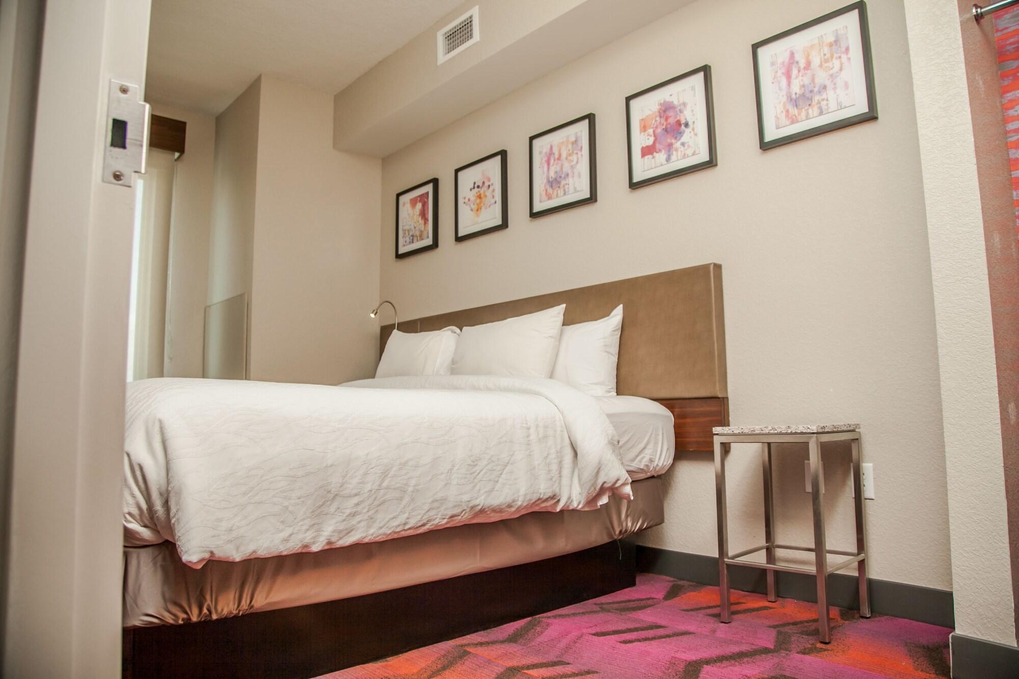 Hilton Garden Inn Tampa Suncoast Parkway Lutz Zewnętrze zdjęcie