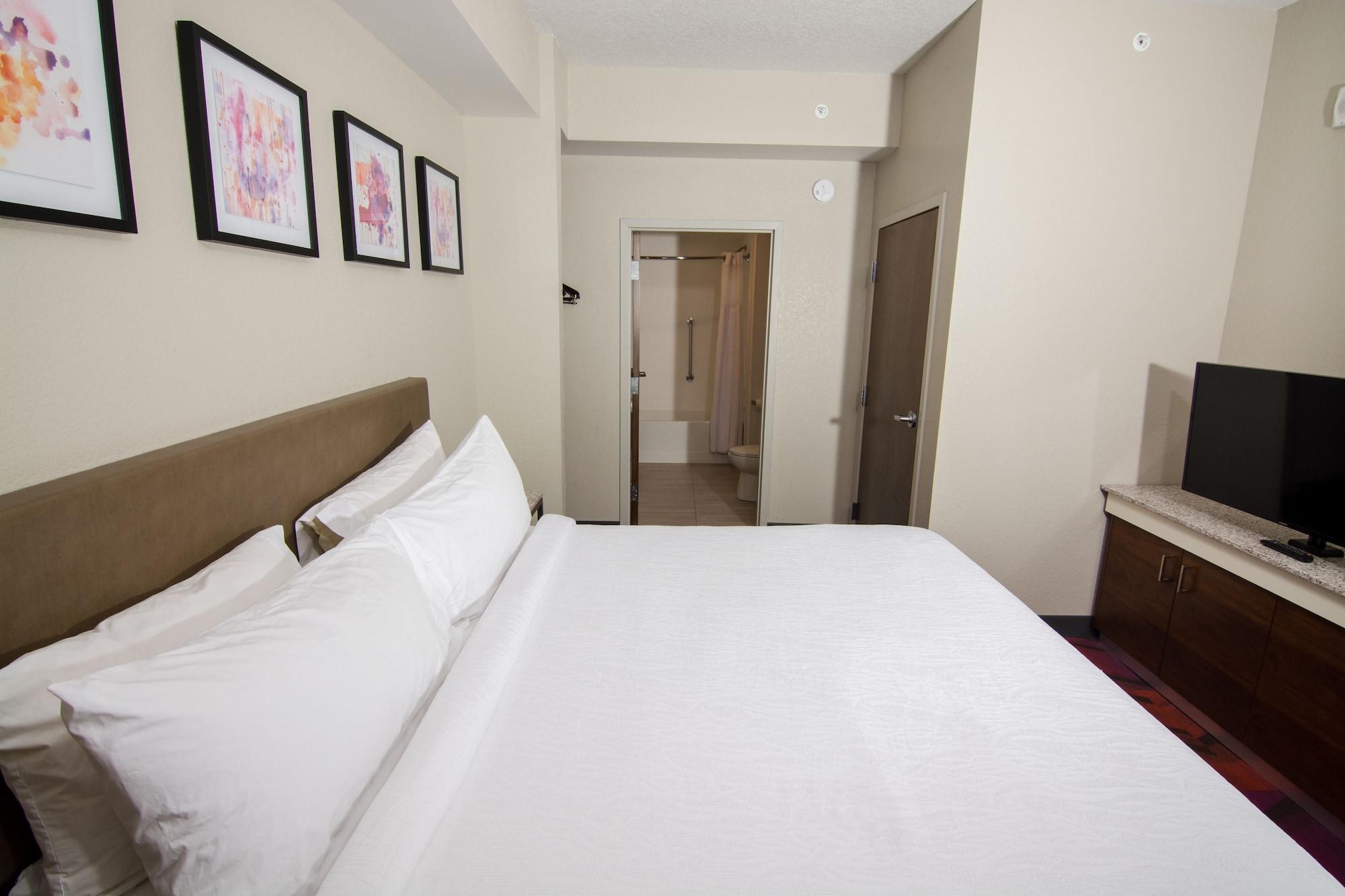 Hilton Garden Inn Tampa Suncoast Parkway Lutz Zewnętrze zdjęcie