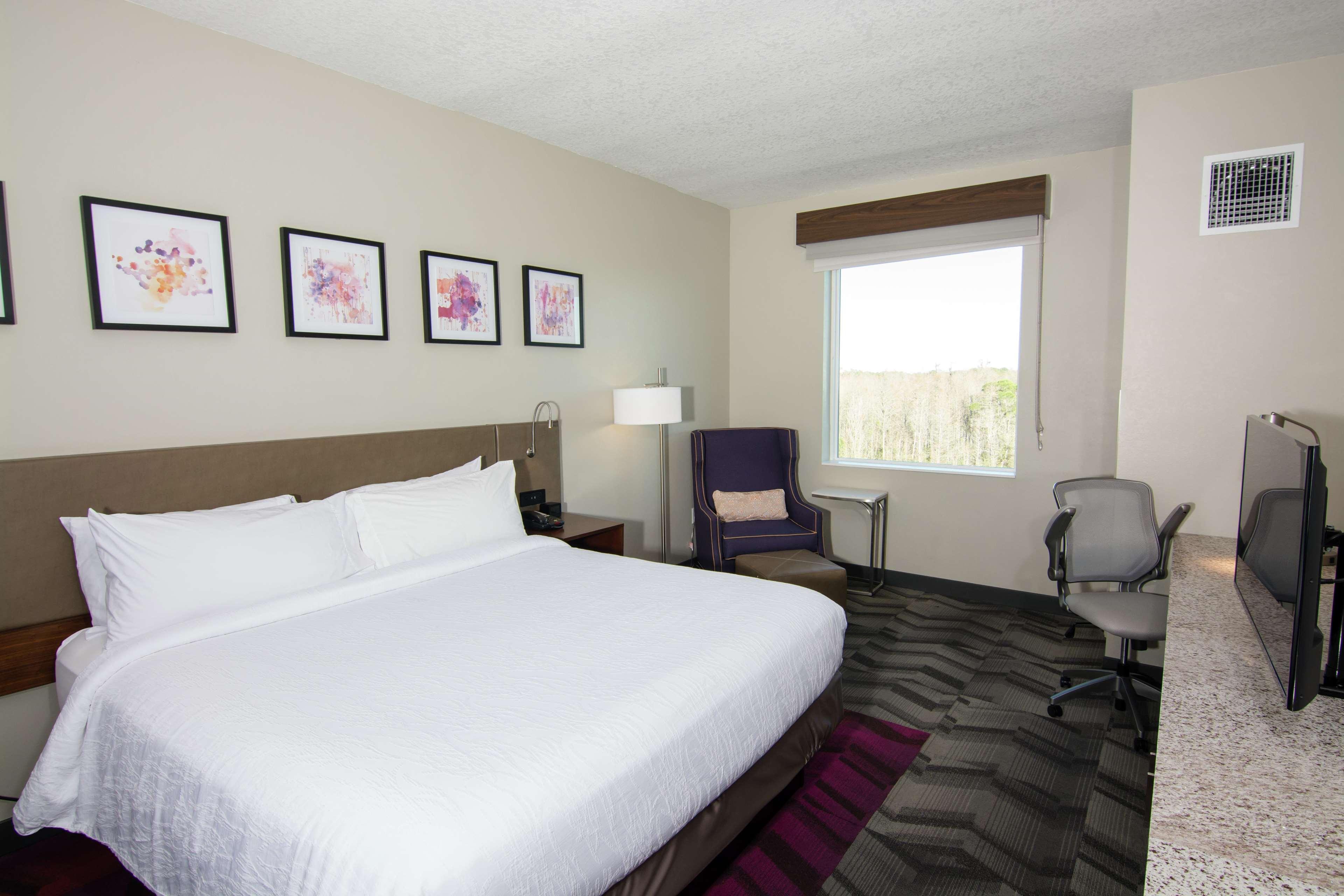 Hilton Garden Inn Tampa Suncoast Parkway Lutz Zewnętrze zdjęcie
