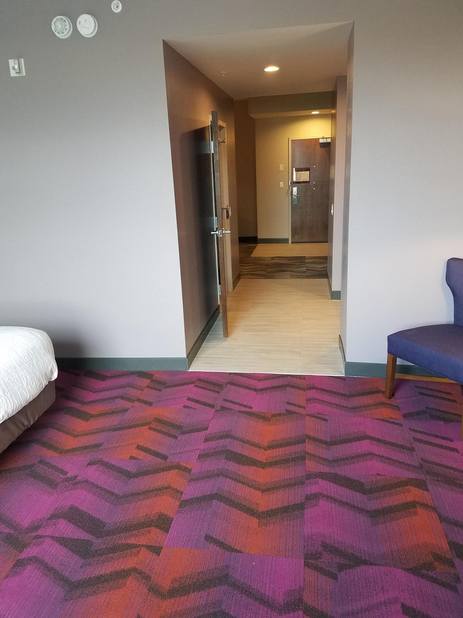 Hilton Garden Inn Tampa Suncoast Parkway Lutz Zewnętrze zdjęcie