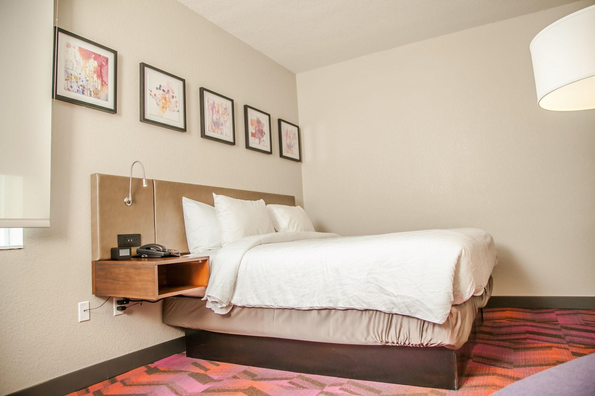Hilton Garden Inn Tampa Suncoast Parkway Lutz Zewnętrze zdjęcie