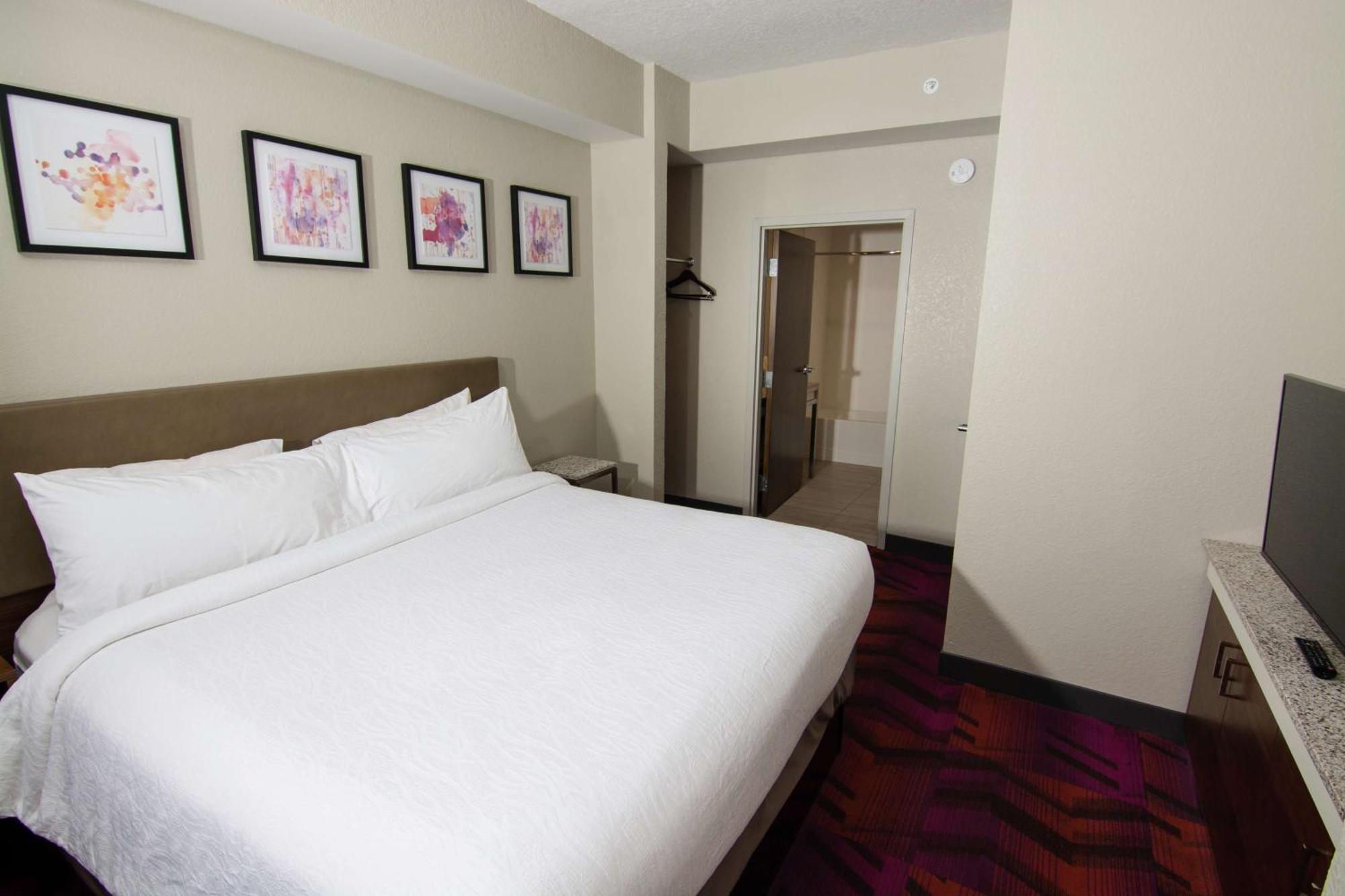 Hilton Garden Inn Tampa Suncoast Parkway Lutz Zewnętrze zdjęcie