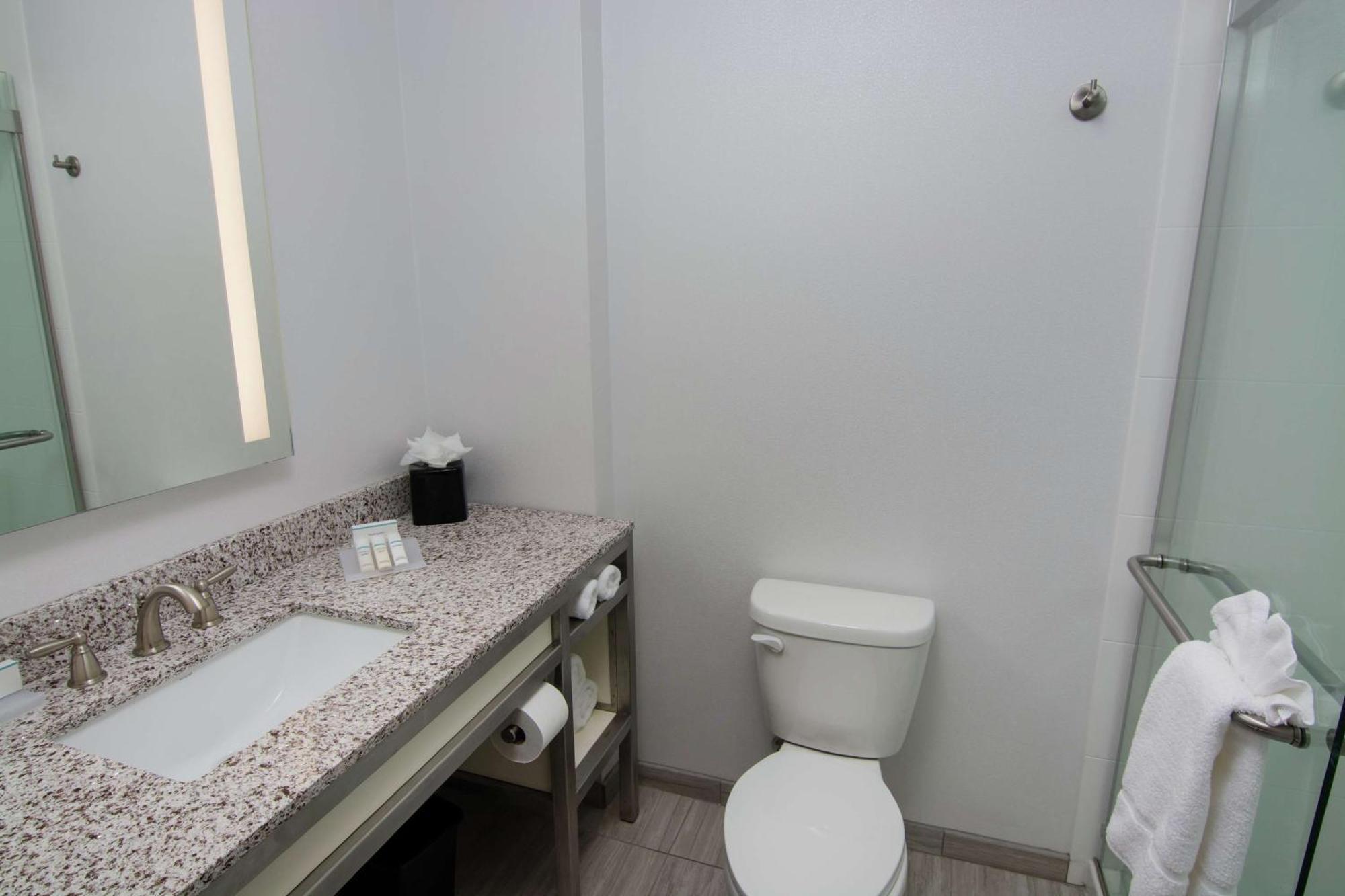 Hilton Garden Inn Tampa Suncoast Parkway Lutz Zewnętrze zdjęcie